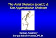 The Axial Skeleton (contd.) & The Appendicular Skeleton Human Anatomy Sonya Schuh-Huerta, Ph.D
