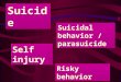 Suicide Suicidal behavior / parasuicide Self injury Risky behavior