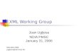 XML Working Group Joan Ugljesa NDIA PMSC January 31, 2006 949-609-2999 jugljesa@aimcorp.biz