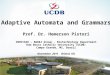 1 Adaptive Automata and Grammars Prof. Dr. Hemerson Pistori INOVISAO – R&D&I Group - Biotechnology Department Dom Bosco Catholic University (UCDB) Campo