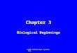©2005 McGraw-Hill Ryerson Ltd. Chapter 3 Biological Beginnings