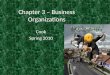 Chapter 3 – Business Organizations Cook Spring 2010
