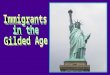 Why Immigrants Came Work - factories, mines, railroads, farms Free Land - Homestead Act Education – free public schools Freedom - democracy, no forced