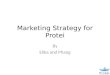 Marketing Strategy for Protei By Elika and Phang