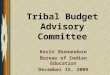 Tribal Budget Advisory Committee Kevin Skenandore Bureau of Indian Education December 15, 2009