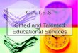 G.A.T.E.S. Gifted and Talented Educational Services