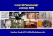 General Parasitology Zoology 4104 Matthew Bolek, LSW 415 bolek@okstate.edu