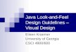 Java Look-and-Feel Design Guidelines – Visual Design Eileen Kraemer University of Georgia CSCI 4800/600