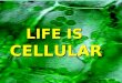 LIFE IS CELLULAR LIFE IS CELLULAR. LIFE CAN BE FOUND IN THE FORM SINGLE CELL ORGANISM MULTI-CELL ORGANISM