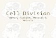 Cell Division Binary Fission, Mitosis & Meiosis. “Where a cell exists, there must have been a preexisting cell, just as the animal arises only from an