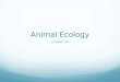Animal Ecology Chapter 38. Ecology Ecology investigates the interactions among organisms and between organisms and their environment