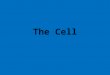 The Cell. Living Organisms All organisms except Viruses are cellular Only Two fundamental types
