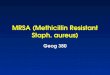 MRSA (Methicillin Resistant Staph. aureus) Geog 380