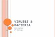 VIRUSES & BACTERIA Beth Walker CP Biology. VIRUSES A. What are the basic characteristics of viruses? smaller than bacteria non-living only reproduce in
