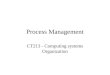 Process Management CT213 - Computing systems Organization