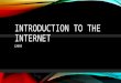 INTRODUCTION TO THE INTERNET CA095.  What is the internet?  Website vs Webpage  Web Address / Internet Protocol  Language of the Internet  Web Browser