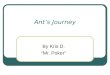 Ant’s Journey By Kris D. “Mr. Poker”. This is Ant. And he will Narrate