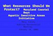 What Resources Should We Protect? Maryland Coastal Bays Aquatic Sensitive Areas Initiative Mary Conley Habitat Restoration Meeting January 16, 2002