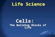 Life Science Cells: The Building Blocks of Life. Section 1 – What is Life? Six Characteristics of Living Organisms 1. Cellular Organization 1. Cellular