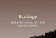 Ecology Relationships in the environment. Vocabulary of Ecology Ecology- The study of the interaction between organisms and between organisms and their