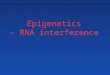Epigenetics - RNA interference. Cenorhabditis elegans Discovery of RNA interference (1998) - silencing of gene expression with dsRNA