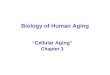 Biology of Human Aging “ Cellular Aging ” Chapter 3