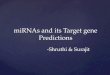 MiRNAs and its Target gene Predictions -Shruthi & Surajit