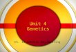 Unit 4 Genetics Ch. 13 Genetic Engineering. Selective Breeding Selective breeding - allowing animals with desired characteristics to reproduce It takes