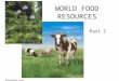 WORLD FOOD RESOURCES Part I. Food Resources Approximately 15 plant and 8 animal species. Three main cash crops: 1. wheat 2. rice 3. corn Grown by Industrialized