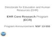Directorate for Education and Human Resources (EHR) EHR Core Research Program (ECR) Program Announcement: NSF 13-555