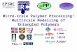 Micro-scale Polymer Processing: Multiscale Modelling of Entangled Polymers