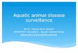Aquatic animal disease surveillance Mr.sci. Sabina Šerić-Haračić TCDC/TCCT consultant – Aquatic epidemiology sabina.seric-haracic@vfs.unsa.ba