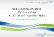 Well-Being at Work Partnership Full ASSET Survey 2013 Initial Results Summary