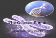 The Genetic Engine How Genetics Works created by Candace Seeve PEER.tamu.edu 2010