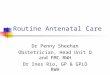 Routine Antenatal Care Dr Penny Sheehan Obstetrician, Head Unit D and FMC RWH Dr Ines Rio, GP & GPLO RWH
