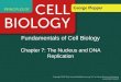 Fundamentals of Cell Biology Chapter 7: The Nucleus and DNA Replication