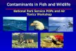 Contaminants in Fish and Wildlife National Park Service POPs and Air Toxics Workshop