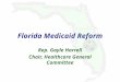 Florida Medicaid Reform Rep. Gayle Harrell Chair, Healthcare General Committee