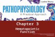 Chapter 3 Hematopoietic Function. Hematopoiesis Process of forming blood Plasma - liquid protein Leukocytes - white blood cells Erythrocytes - red blood