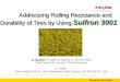 Addressing Rolling Resistance and Durability of Tires by Using Sulfron 3001 N. Huntink, R. Datta †, P. Paping, M. van der Made Teijin Aramid BV, Arnhem,