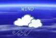 WIND What causes wind? AAAAll winds are caused by differences in air pressure. WWWWind is the horizontal movement of air from an area of high