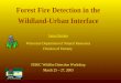 Forest Fire Detection in the Wildland-Urban Interface James Barnier Wisconsin Department of Natural Resources Division of Forestry FERIC Wildfire Detection