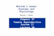 Chapter 27 Female Reproductive System II Lecture 20 Marieb’s Human Anatomy and Physiology Marieb  Hoehn