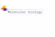 Molecular biology. Course structure  Polymerase Chain Reaction RNA Isolation cDNA Synthesis Amplification Electrophoresis  Transfection