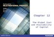 Chapter 12 The Global Cost and Availability of Capital