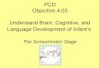 PCD Objective 4.03 Understand Brain, Cognitive, and Language Development of Infant’s The Sensorimotor Stage