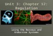 Unit 3: Chapter 12: Regulation ______________________ using the Nervous and Endocrine Systems