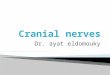 Dr. ayat eldomouky.  Ⅰ Olfactory nerve  Ⅱ Optic nerve  Ⅲ Oculomotor nerve  Ⅳ Trochlear nerve  Ⅴ Trigeminal nerve  Ⅵ Abducent nerve  Ⅶ Facial nerve