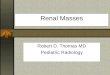 Renal Masses Robert D. Thomas MD Pediatric Radiology