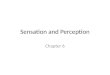 Sensation and Perception Chapter 6. Sensation 3 The Eye